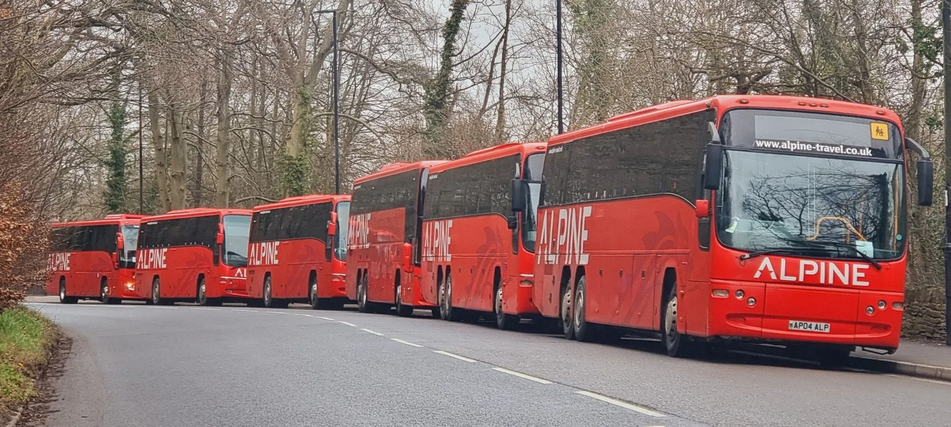 Row of Alpine coaches