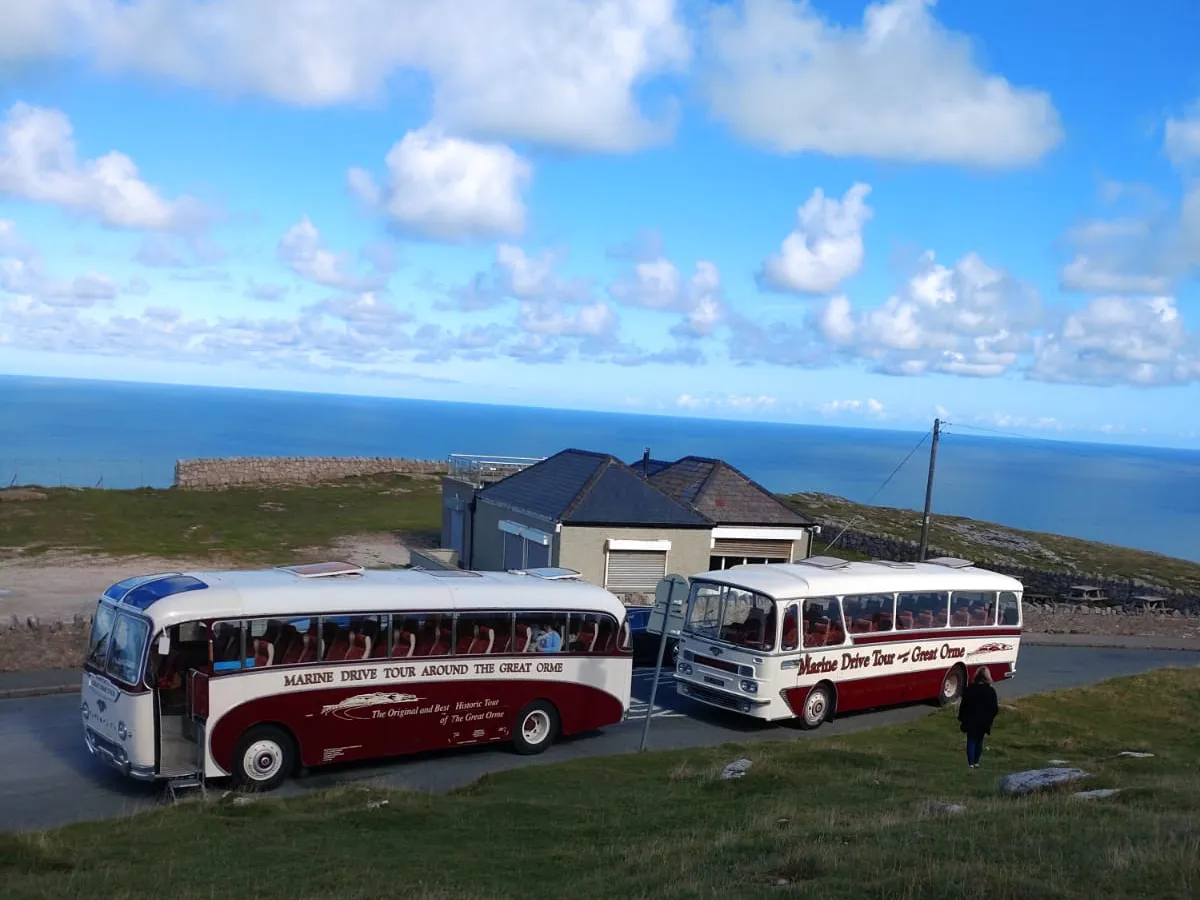 Marine drive coaches