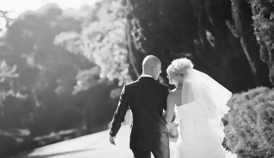 Alpine - Wedding Transport Solutions